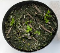 Mange spirer fra rødder lagt vandret.